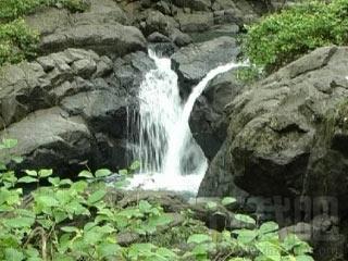 Alluring Waterfalls Screensaver,瀑布美景主题