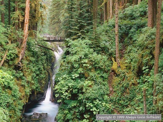 Alluring Waterfalls Screensaver,瀑布美景主题